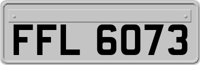FFL6073