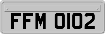 FFM0102