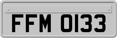 FFM0133