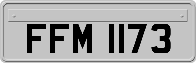 FFM1173