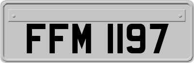 FFM1197