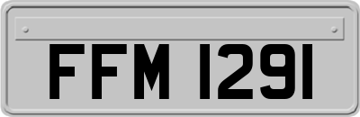 FFM1291