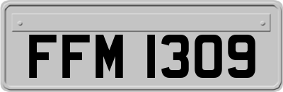 FFM1309