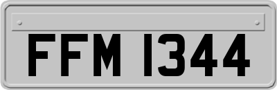 FFM1344