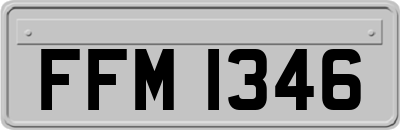 FFM1346