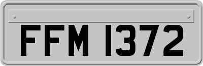 FFM1372