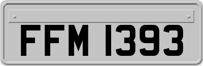 FFM1393