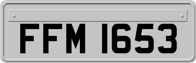 FFM1653