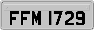 FFM1729