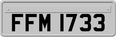 FFM1733