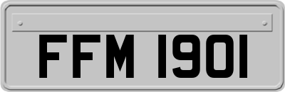 FFM1901