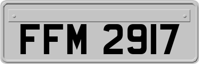 FFM2917