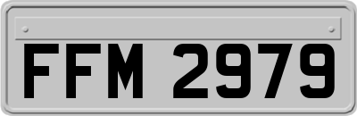 FFM2979