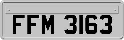 FFM3163