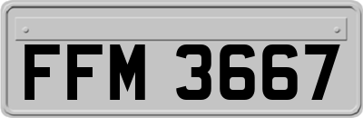 FFM3667