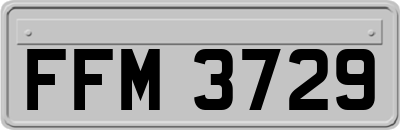 FFM3729