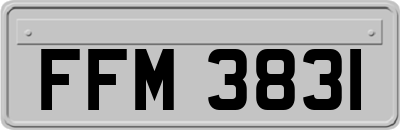 FFM3831