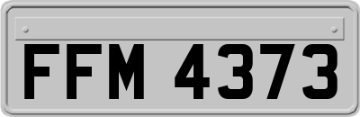 FFM4373