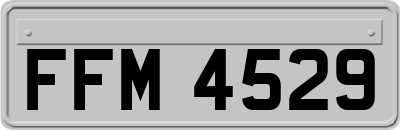 FFM4529