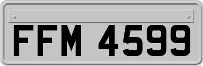 FFM4599