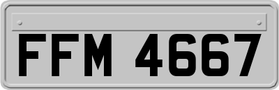 FFM4667