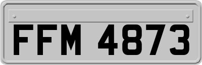 FFM4873