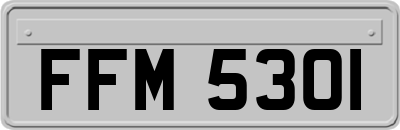 FFM5301