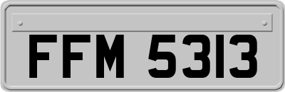 FFM5313