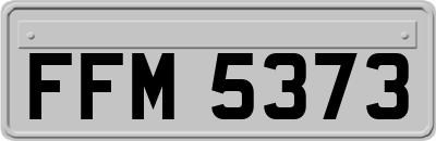 FFM5373