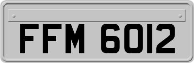FFM6012