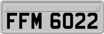FFM6022