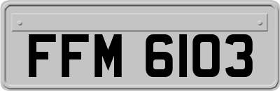 FFM6103