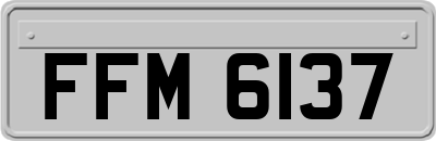FFM6137