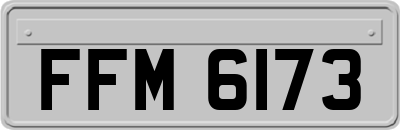 FFM6173