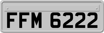 FFM6222