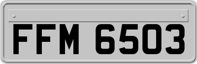 FFM6503