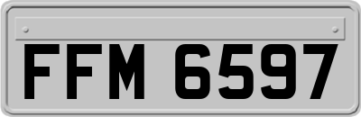FFM6597