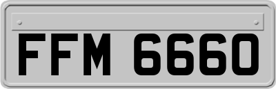 FFM6660