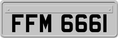 FFM6661