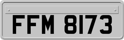 FFM8173