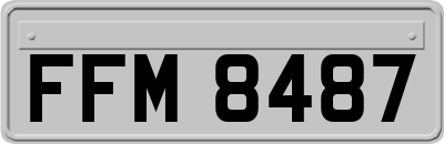 FFM8487