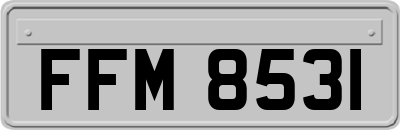 FFM8531