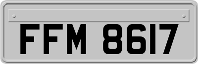 FFM8617