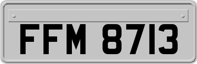 FFM8713