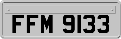 FFM9133