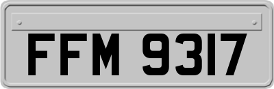 FFM9317