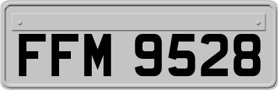 FFM9528