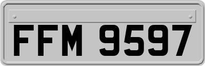 FFM9597
