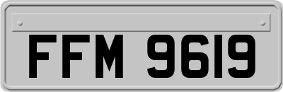 FFM9619