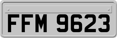 FFM9623